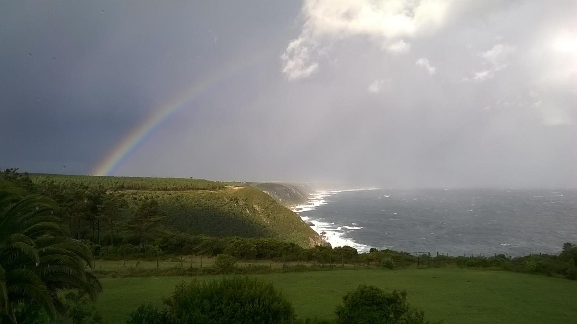 Tsitsikamma On Sea Resort Witelsbos 外观 照片