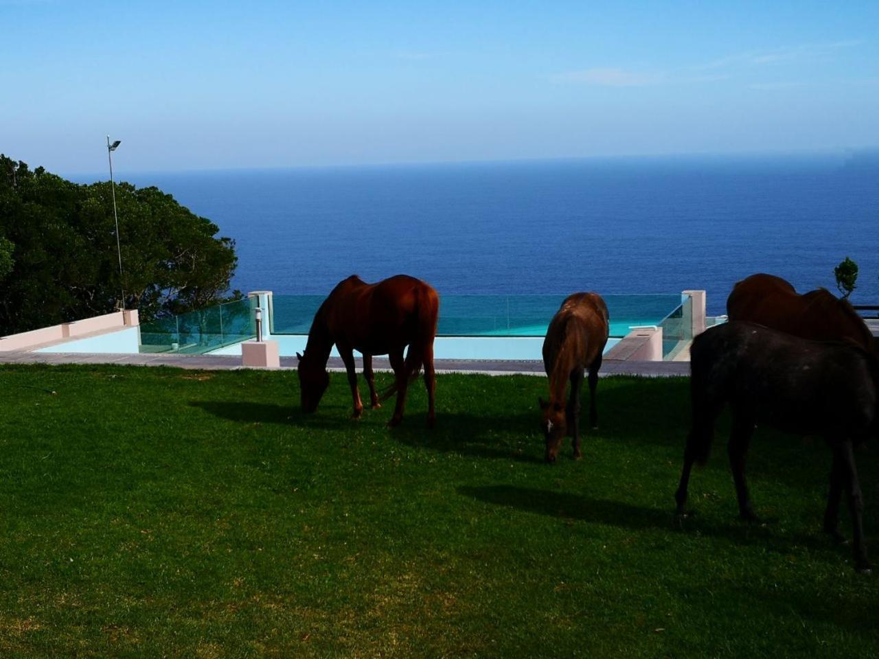 Tsitsikamma On Sea Resort Witelsbos 外观 照片