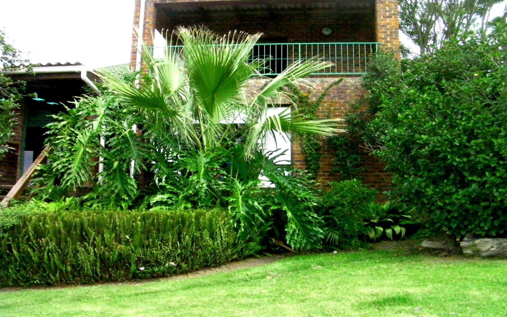 Tsitsikamma On Sea Resort Witelsbos 外观 照片